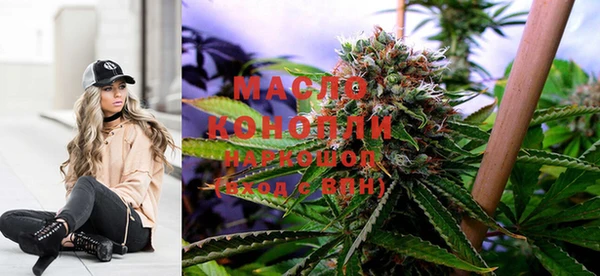 СК Пересвет